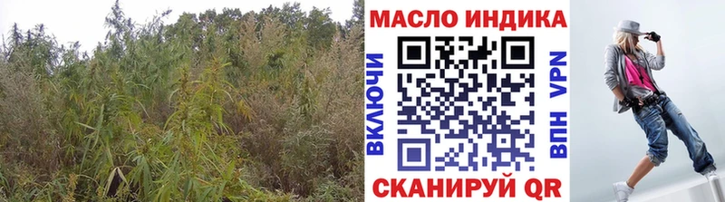 ТГК вейп с тгк  Оренбург 