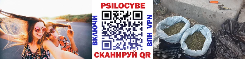 Псилоцибиновые грибы Psilocybine cubensis  блэк спрут рабочий сайт  Оренбург  где можно купить наркотик 