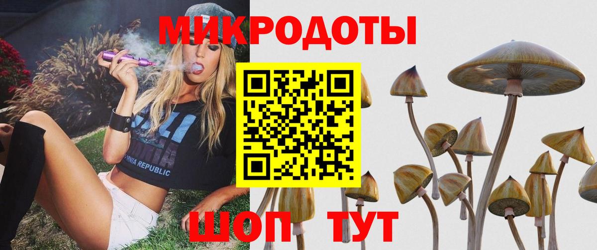 Псилоцибиновые грибы Cubensis  Галлюциногенные грибы Magic Shrooms  Оренбург  Вход с VPN 